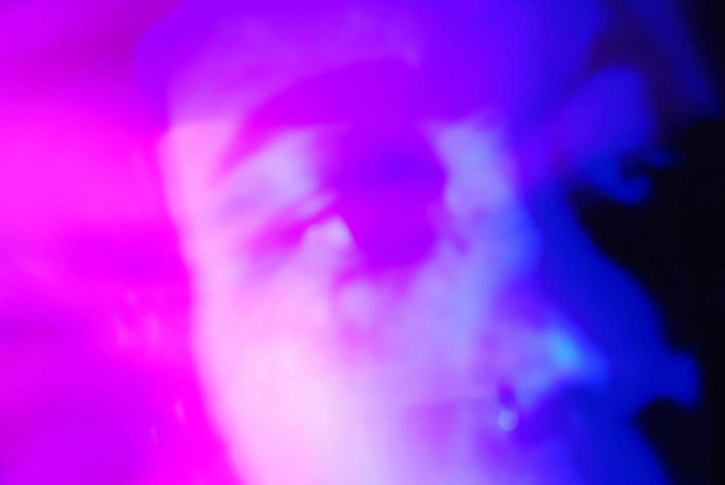 yes 12.17 DSC_5923.JPG