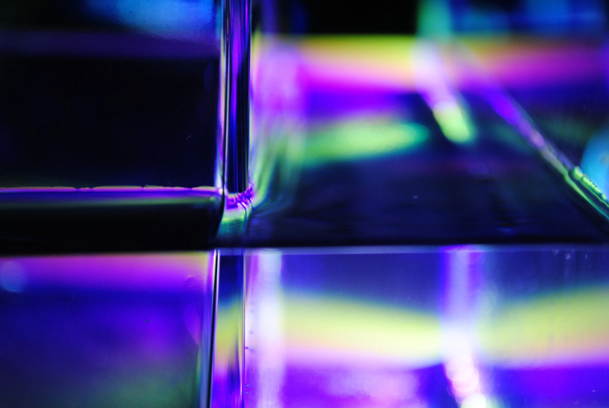 yes 12.17 DSC_5818.JPG