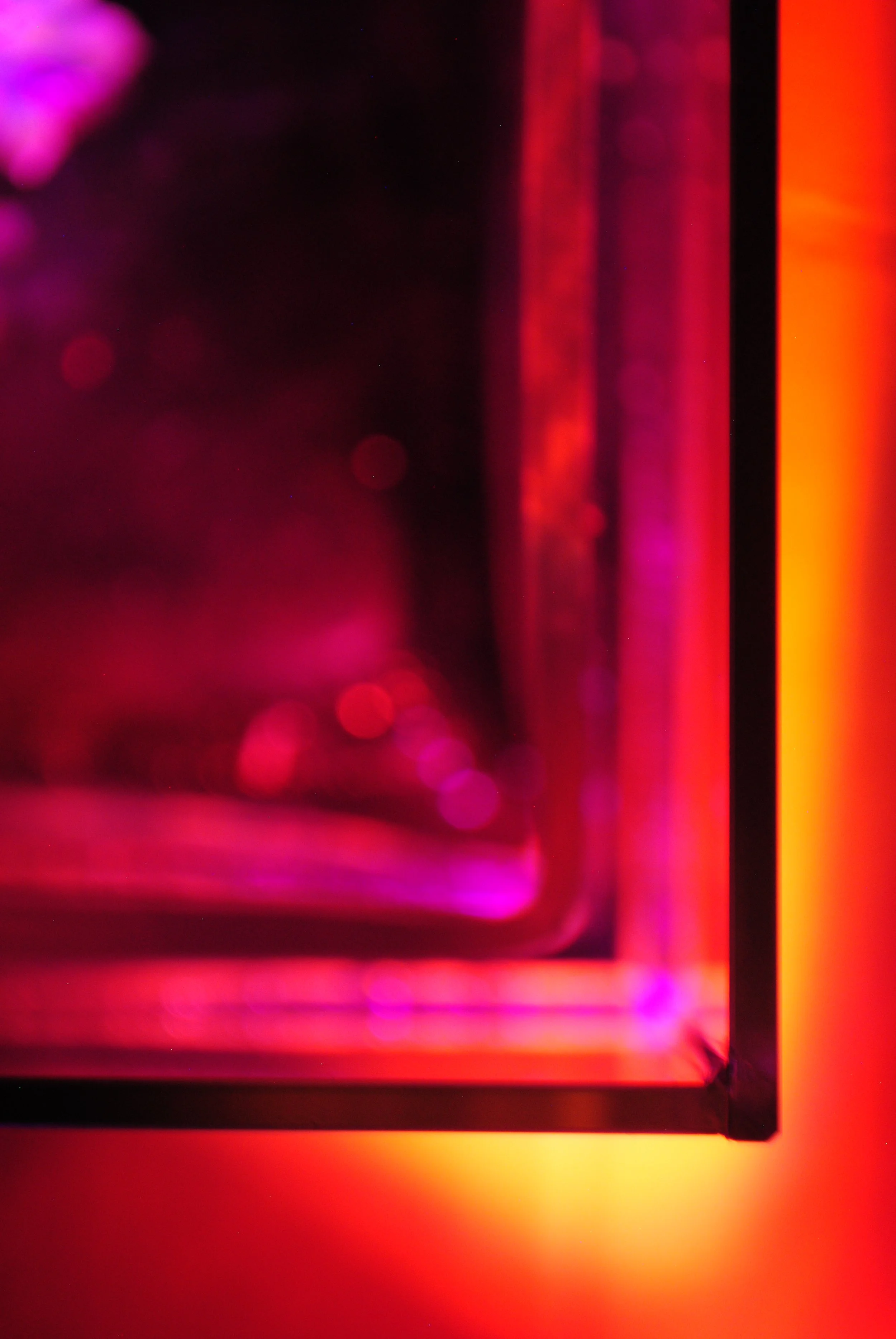 yes 12.17 DSC_5874.JPG