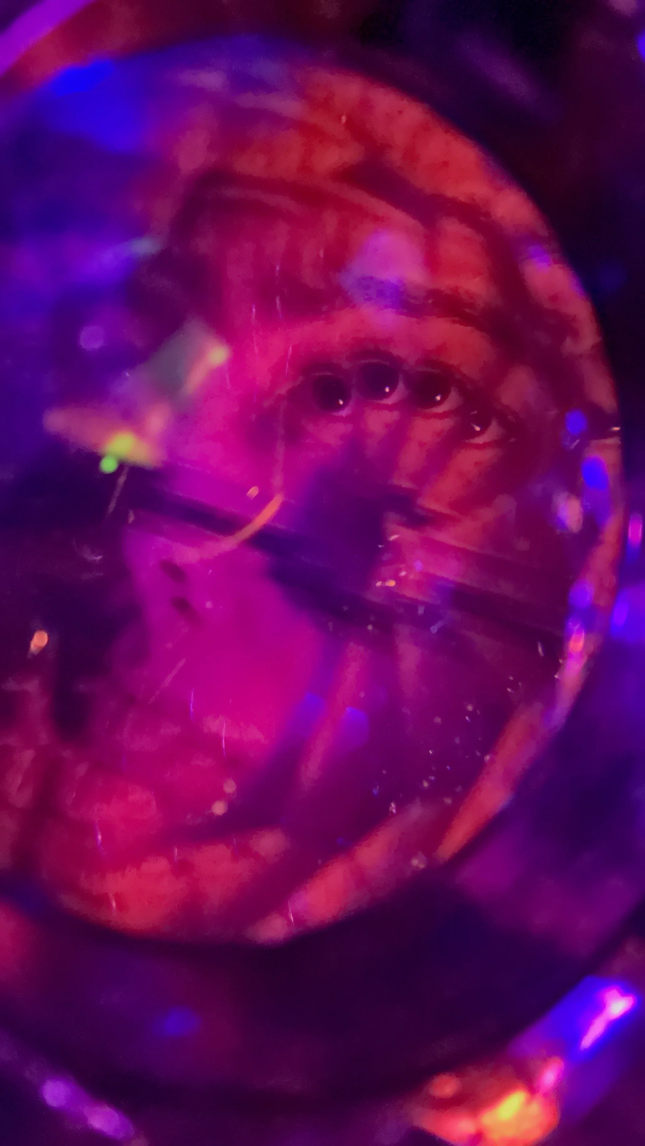 2025-12-16 - IMG_7255.jpeg