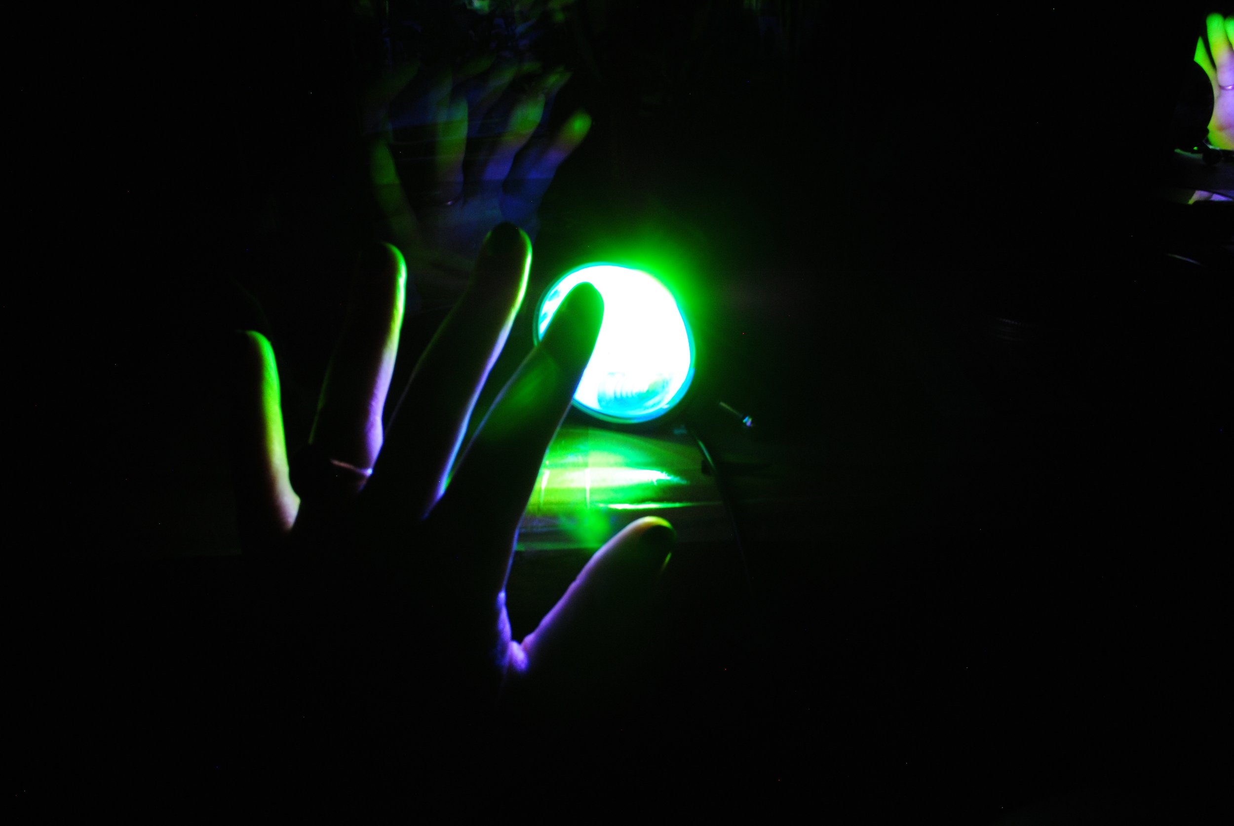 yes 12.17 DSC_5955.JPG