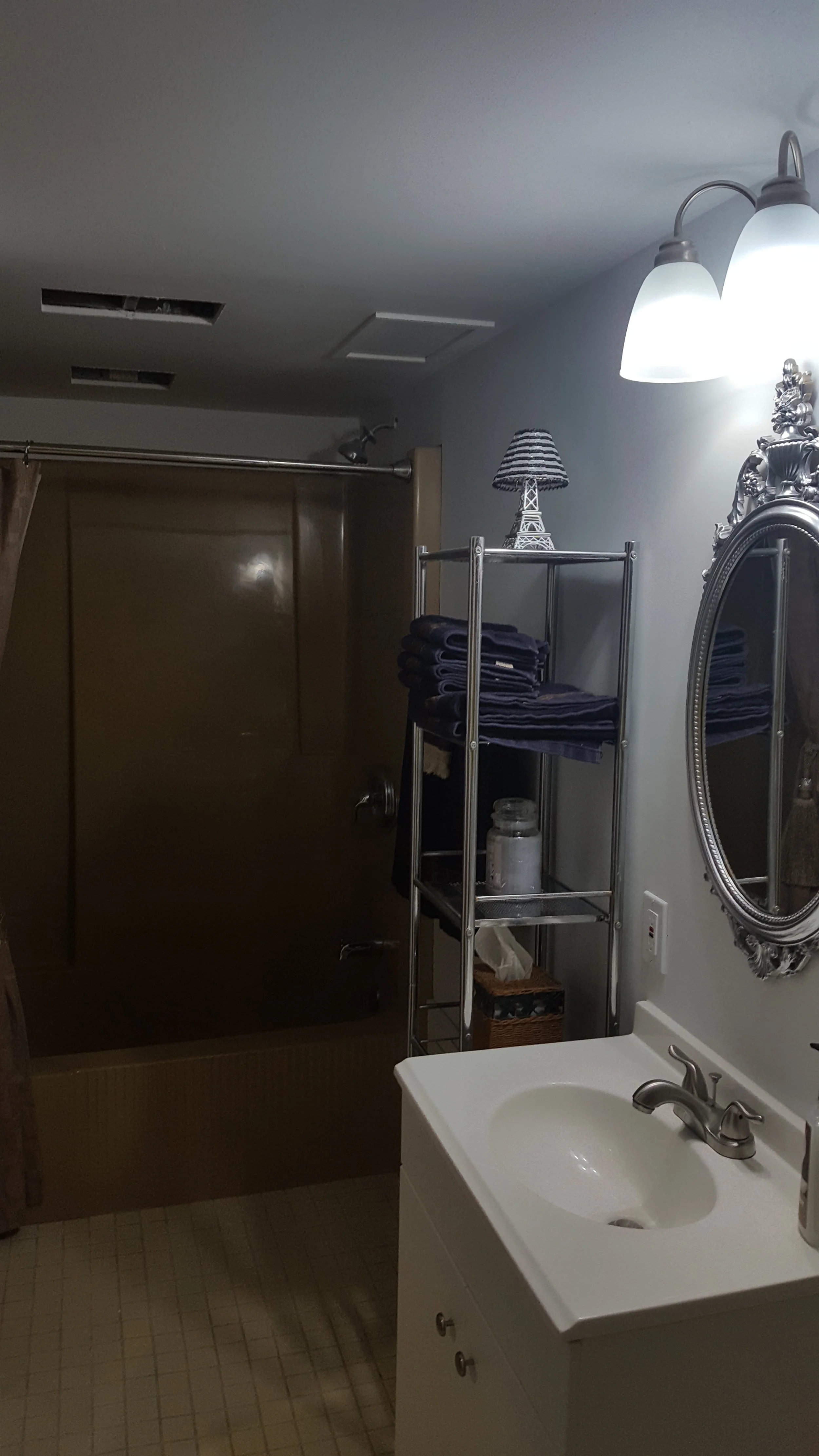 Basement bathroom remodel