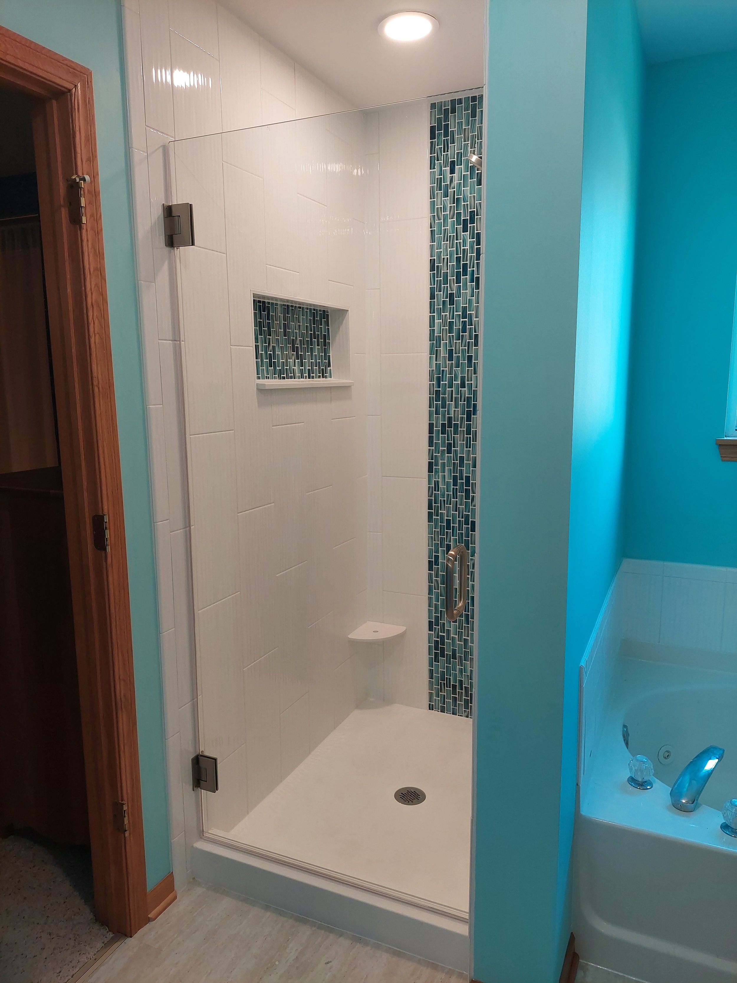 Frameless Euro style shower door