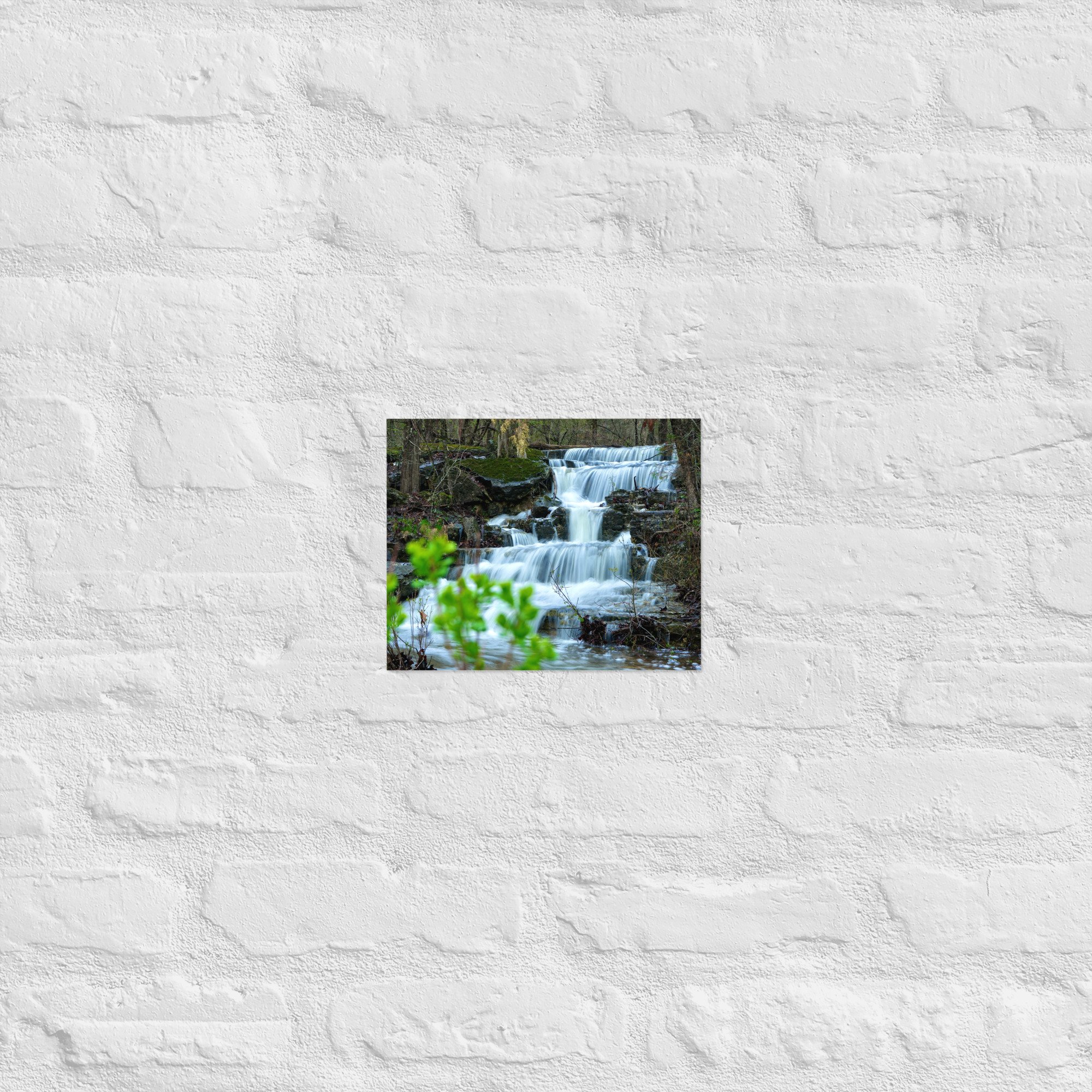 enhanced-matte-paper-poster-(in)-8x10-front-67f434ed2252a.jpg