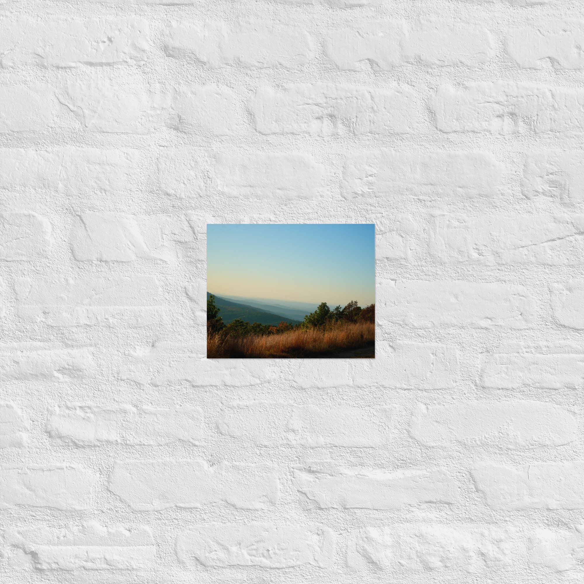 enhanced-matte-paper-poster-(in)-8x10-front-67f4352d2cff0.jpg