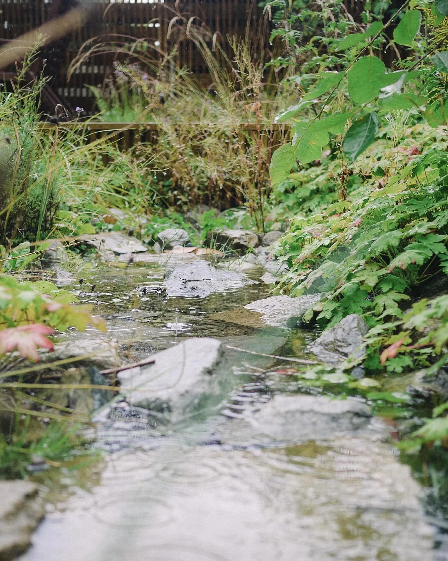 It&rsquo;s raining a lot right now in Oslo, Norway and with several flooding warnings in the media, the message is clear: &ldquo;If we are to solve the challenges of water management in the future, we need more nature-based solutions.&rdquo; 💧🌿
At 