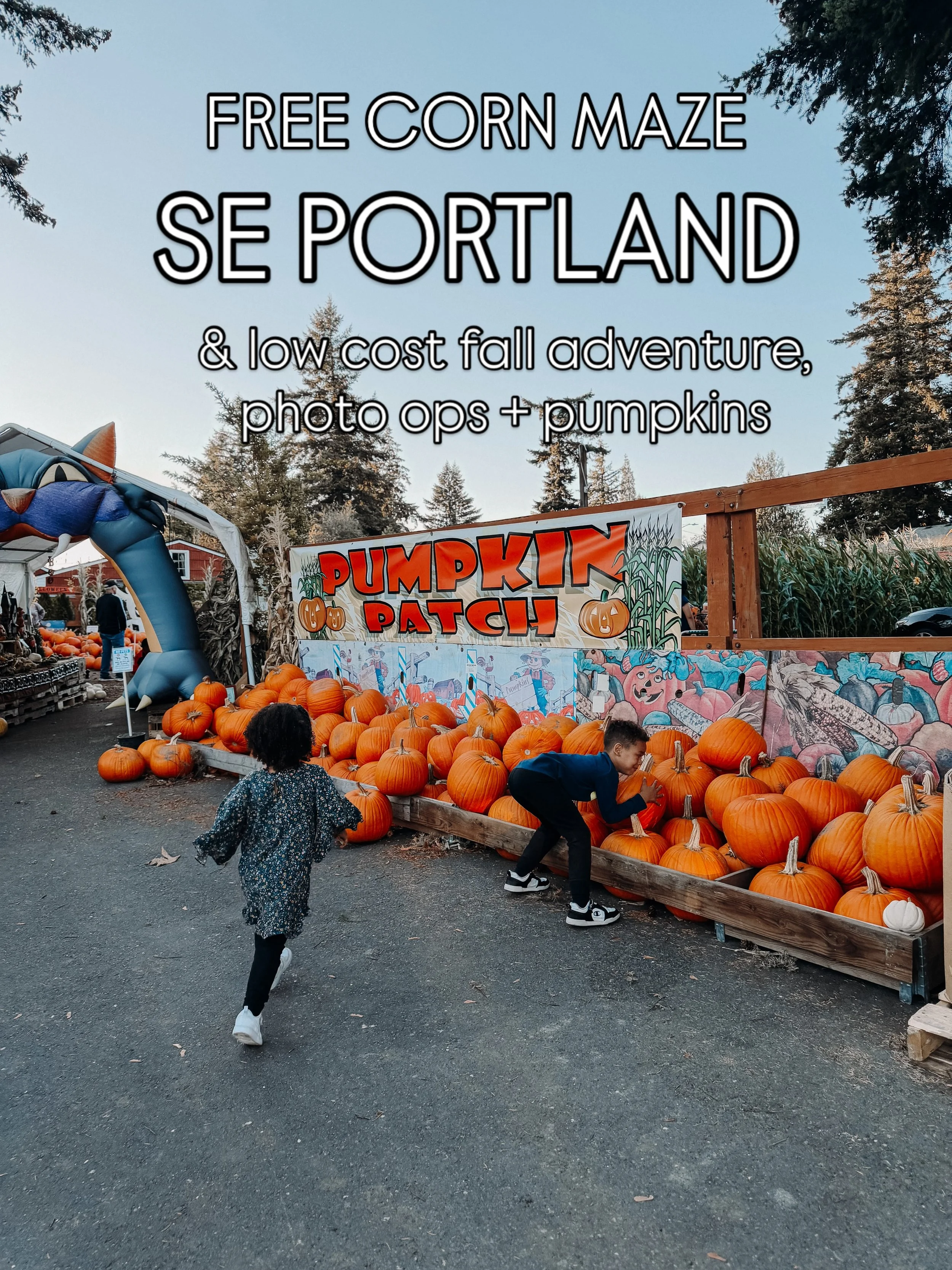 Nothing like a low cost, fall family outing 🍁 everything is so expensive these days so I&rsquo;m grateful for experiences that are low cost and/or free!

We love @growersoutletpdx so much &mdash; no one got over stimulated so that was a WIN.

#south