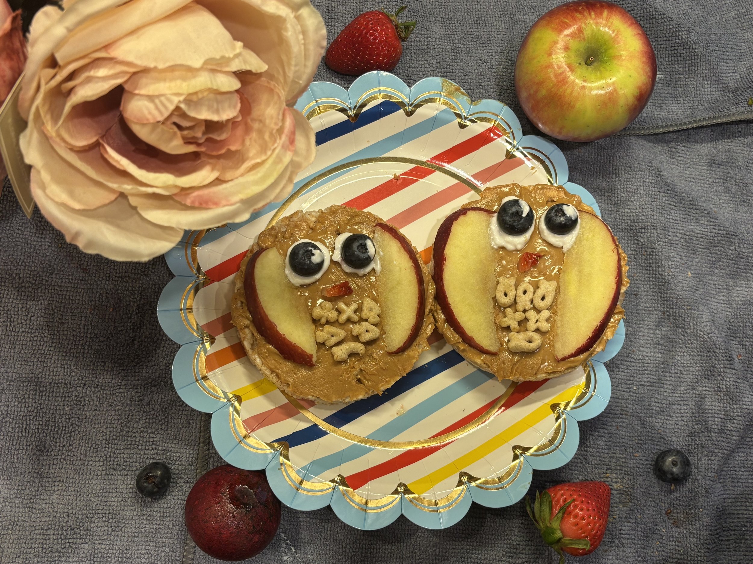 Owl Rice Cakes