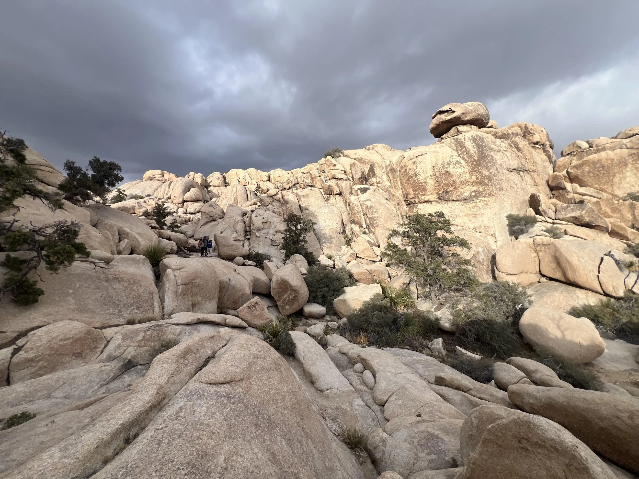 Morning Hiking Tour with Hollis