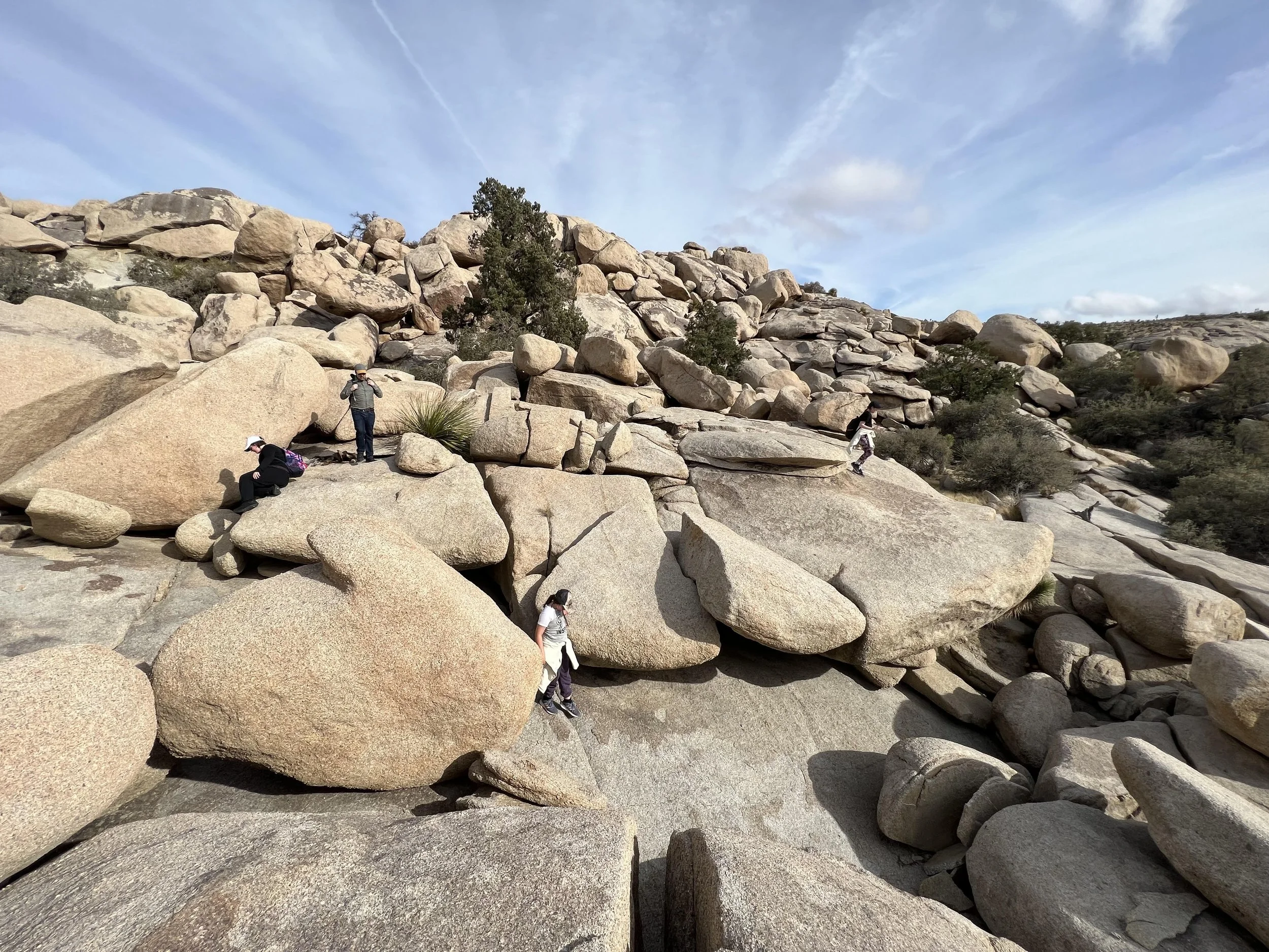 Morning Backcountry Hike with Hollis