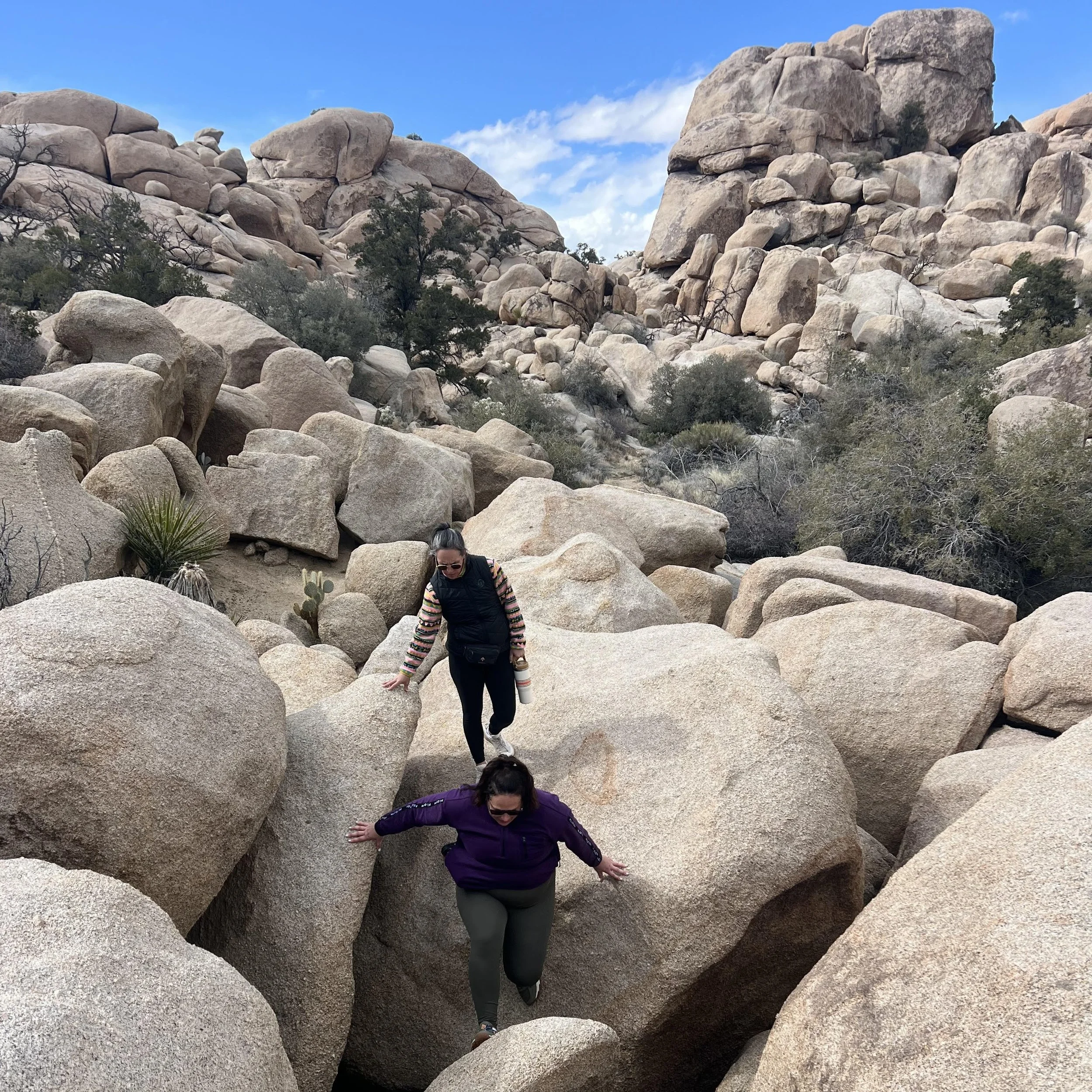 Morning Backcountry Hike with Hollis