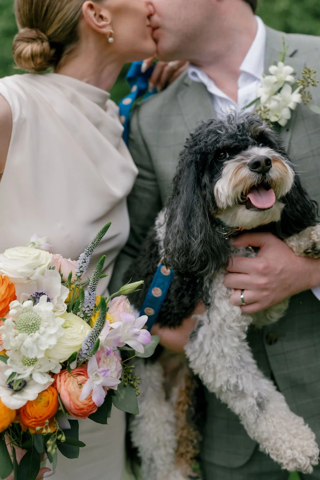 wedding-dog.jpg