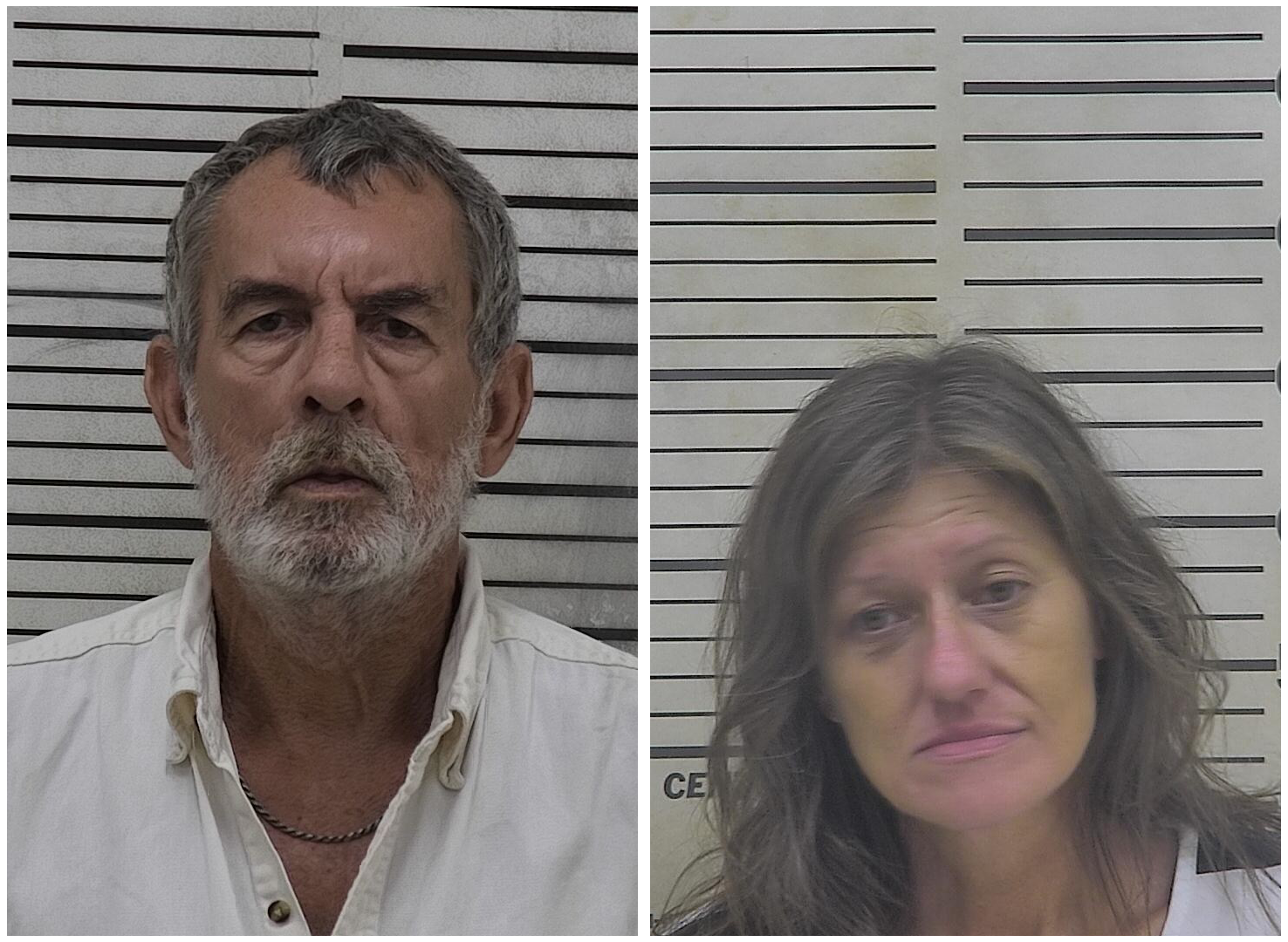 Two Arrested on Drug and Firearm Charges