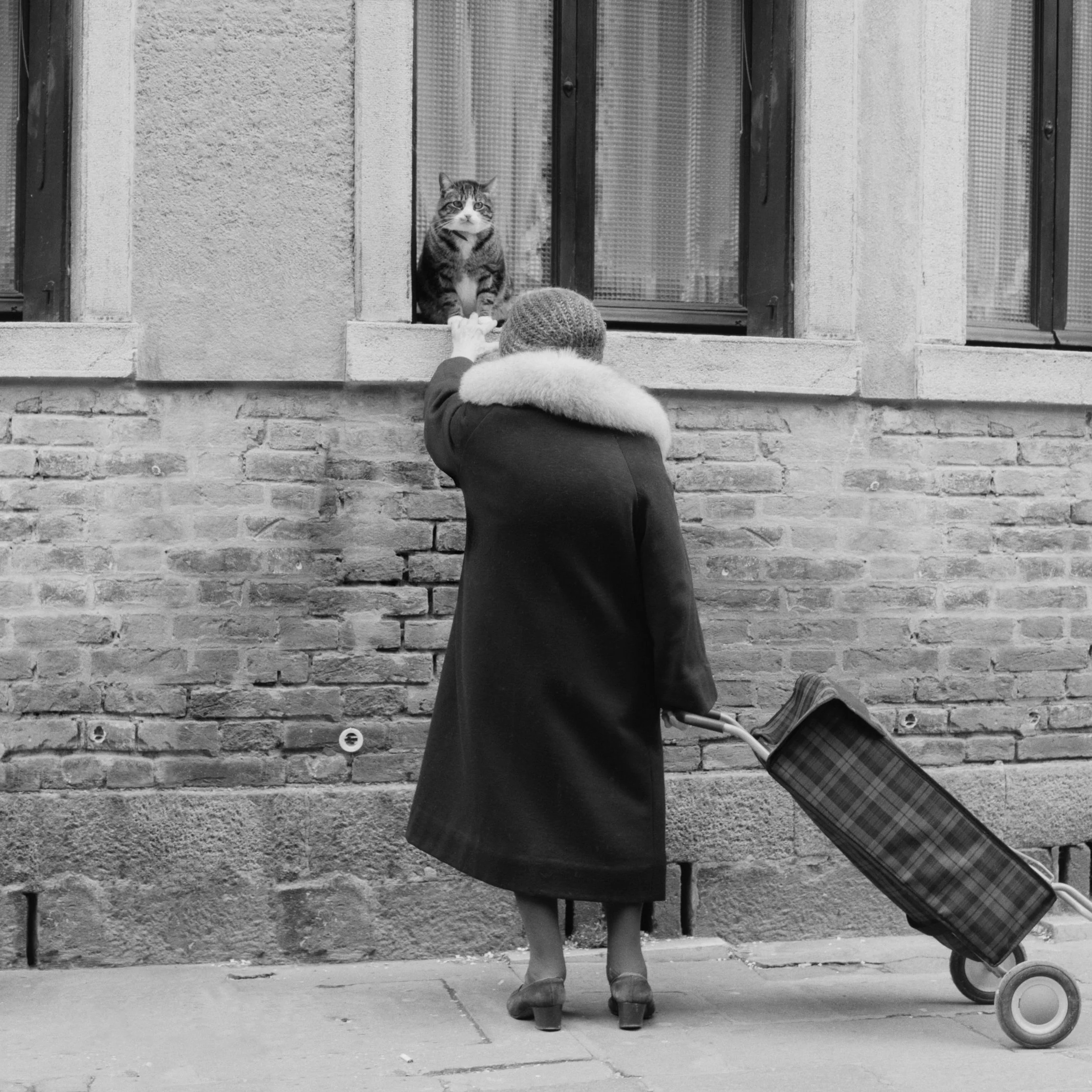A woman dressed in a long coat with a fur collar, wearing high heels and a hat, stands on the sidewalk pulling a plaid shopping cart. She is reaching out to a cat sitting at an open window of a brick building.