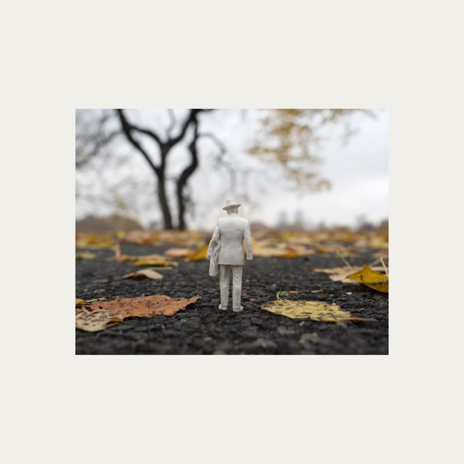 16-portfolio-prints-central-park-fall-dsc-2603-grid.jpg