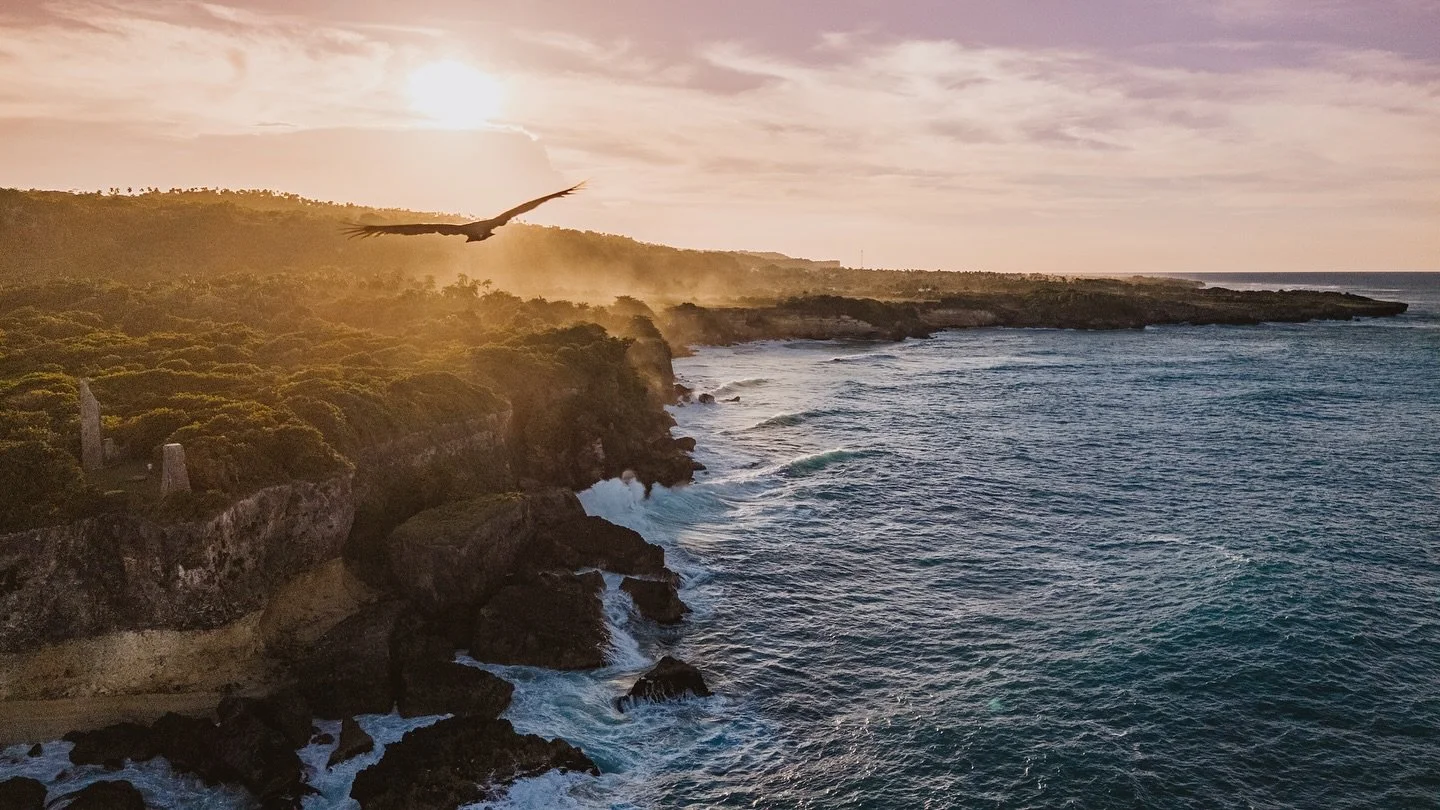 Grounded in land. Inspired by the horizon.
This is Las Cuevas.