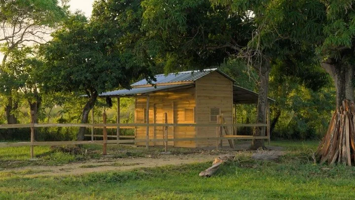 At Las Cuevas, the world wakes slowly.
Light moves over the hills, the palms reach for the sea, and everything feels possible again.
These quiet moments at sunrise remind us why we build &mdash; not just homes, but a way of life.