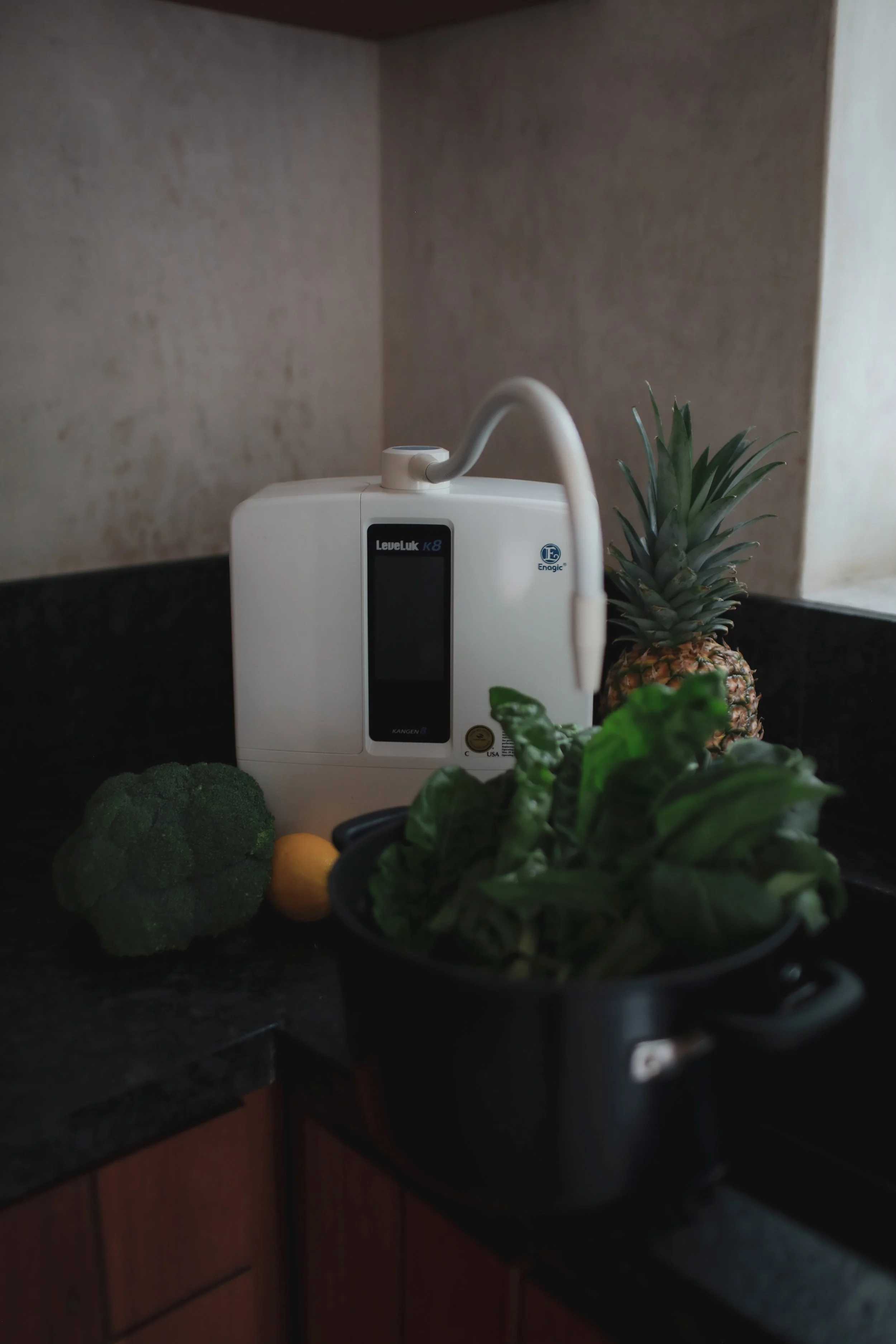 Kangen Water® machine placed on a minimalist countertop in Tulum.