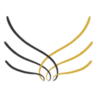 A stylized, ornate illustration of a pair of wings with a decorative design in the center.