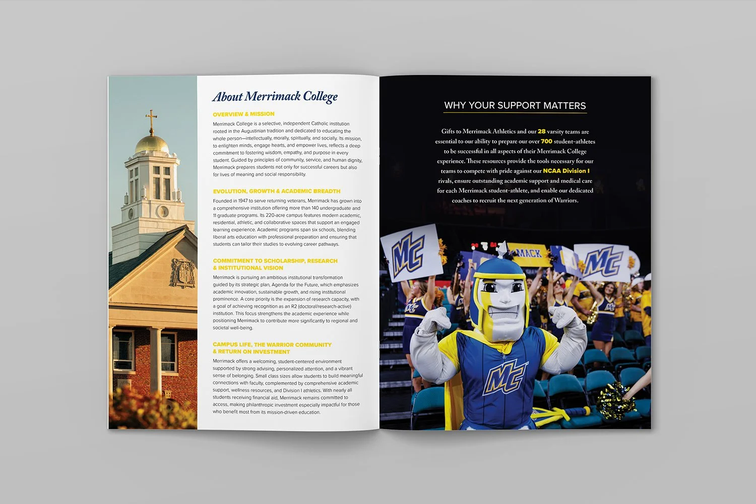 basketball spread.jpg