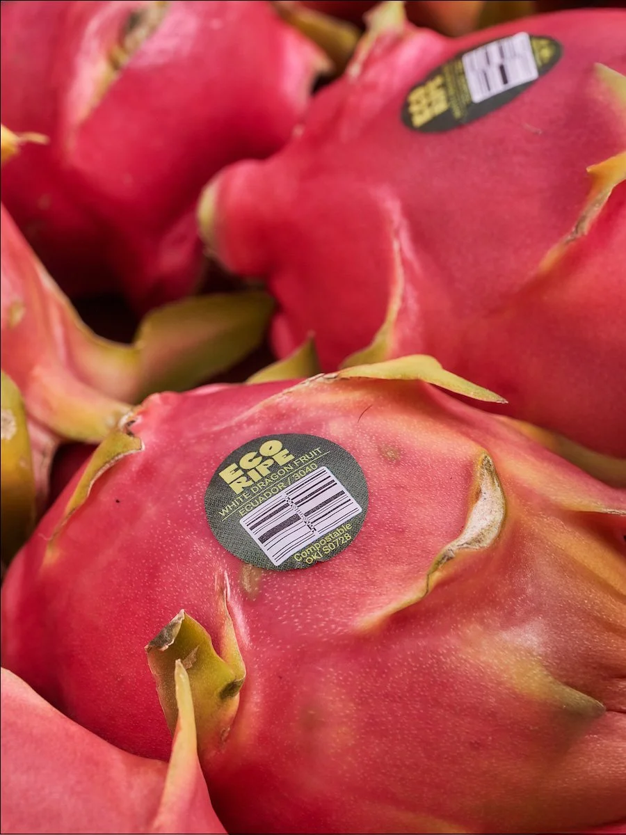 PINK_DRAGON_FRUIT_USA.jpg
