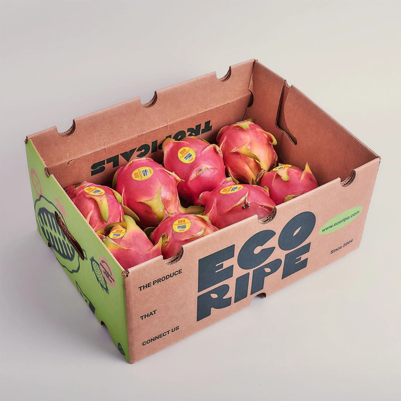 red flesh dragon fruit supplier in the us and canada