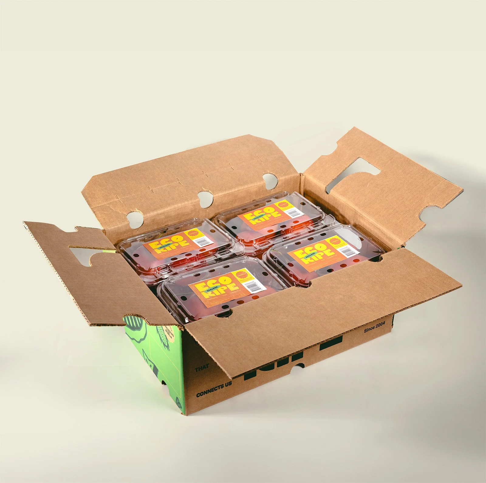 Case of fresh tamarillo clamshells, tropical tree tomato wholesale produce, Ecoripe Tropicals