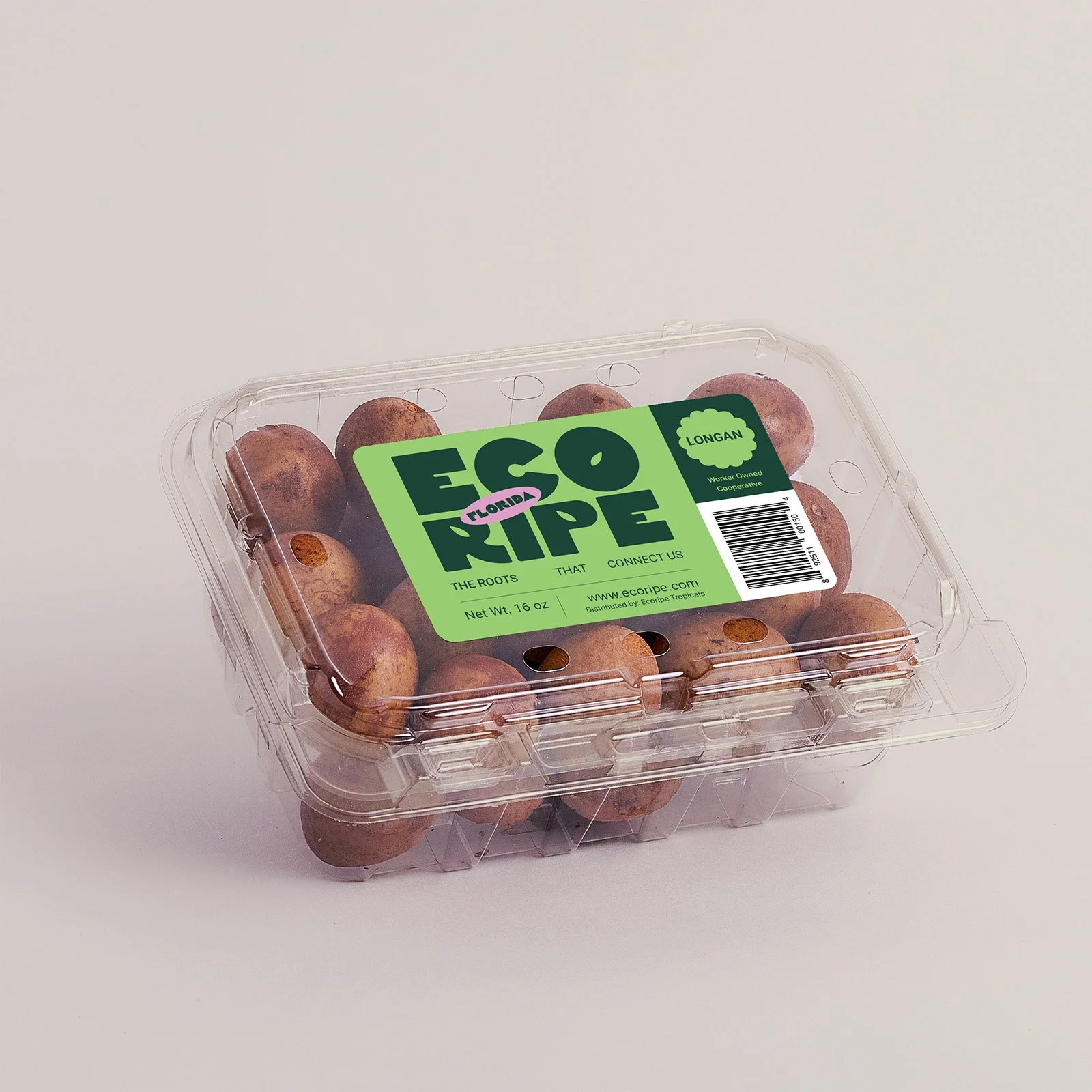 Fresh longan in clamshell packaging, brown-shelled tropical fruit ready for retail, by Ecoripe Tropicals