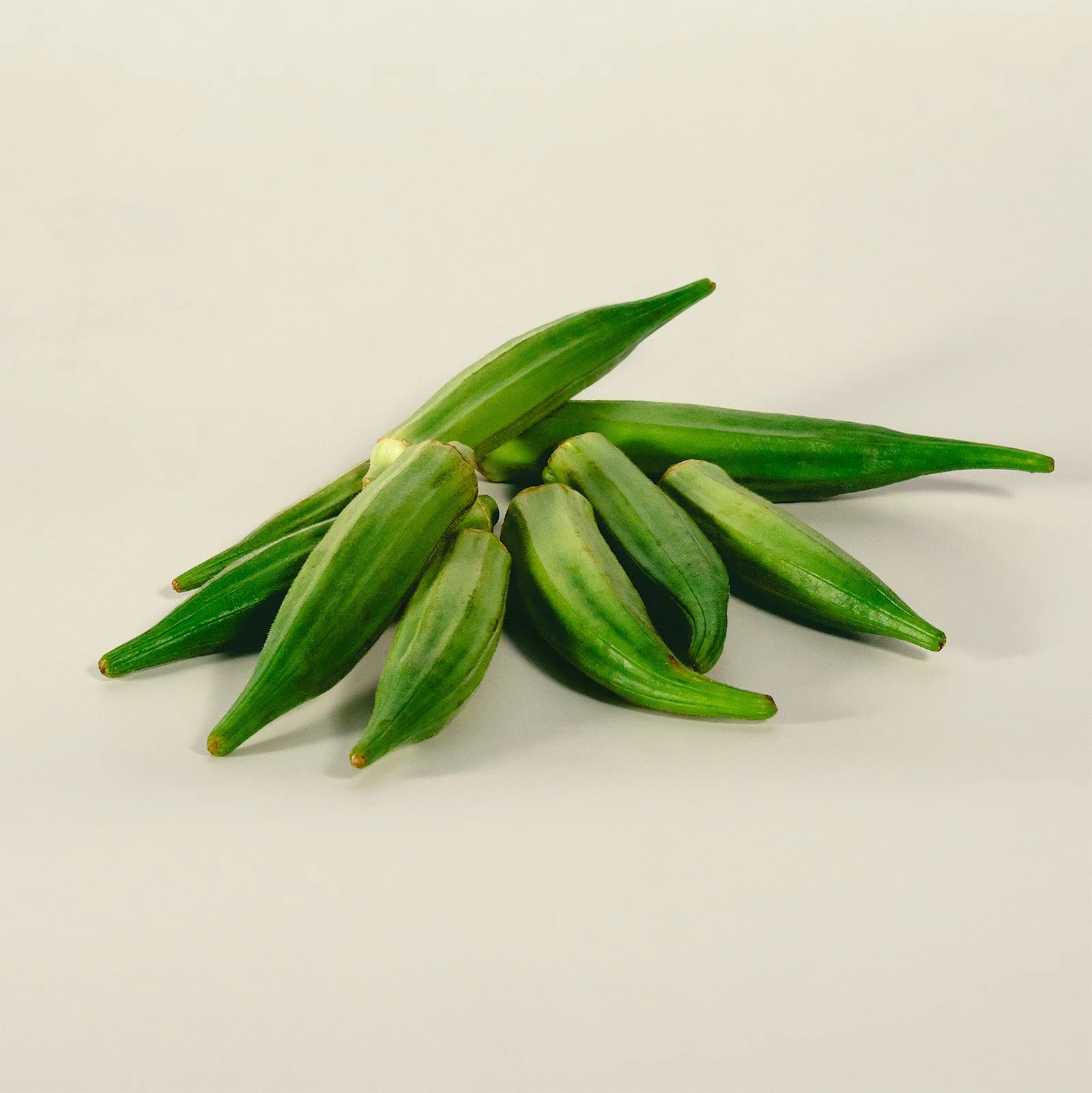 American Okra