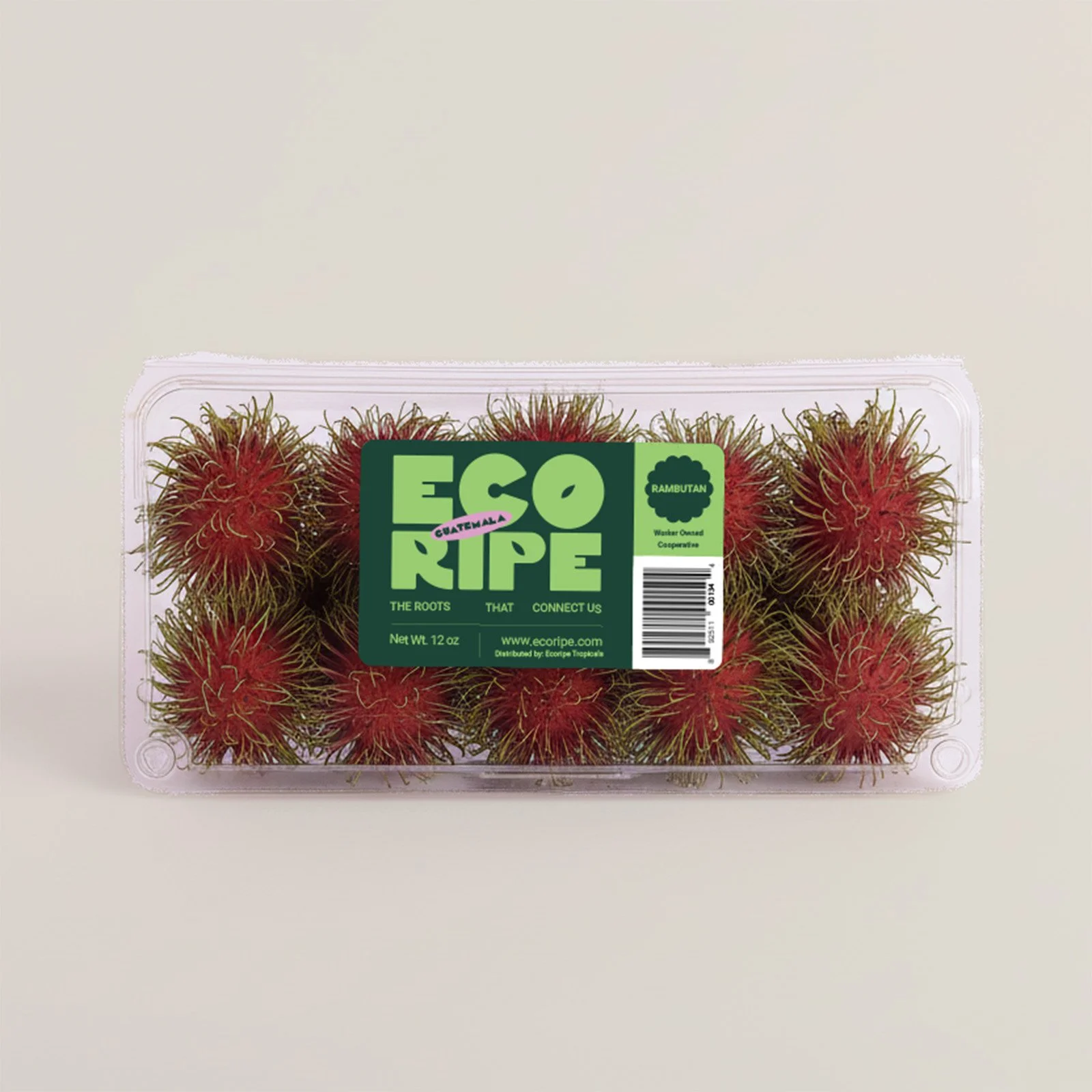 RAMBUTAN_CLAM_FRONT_B.jpg