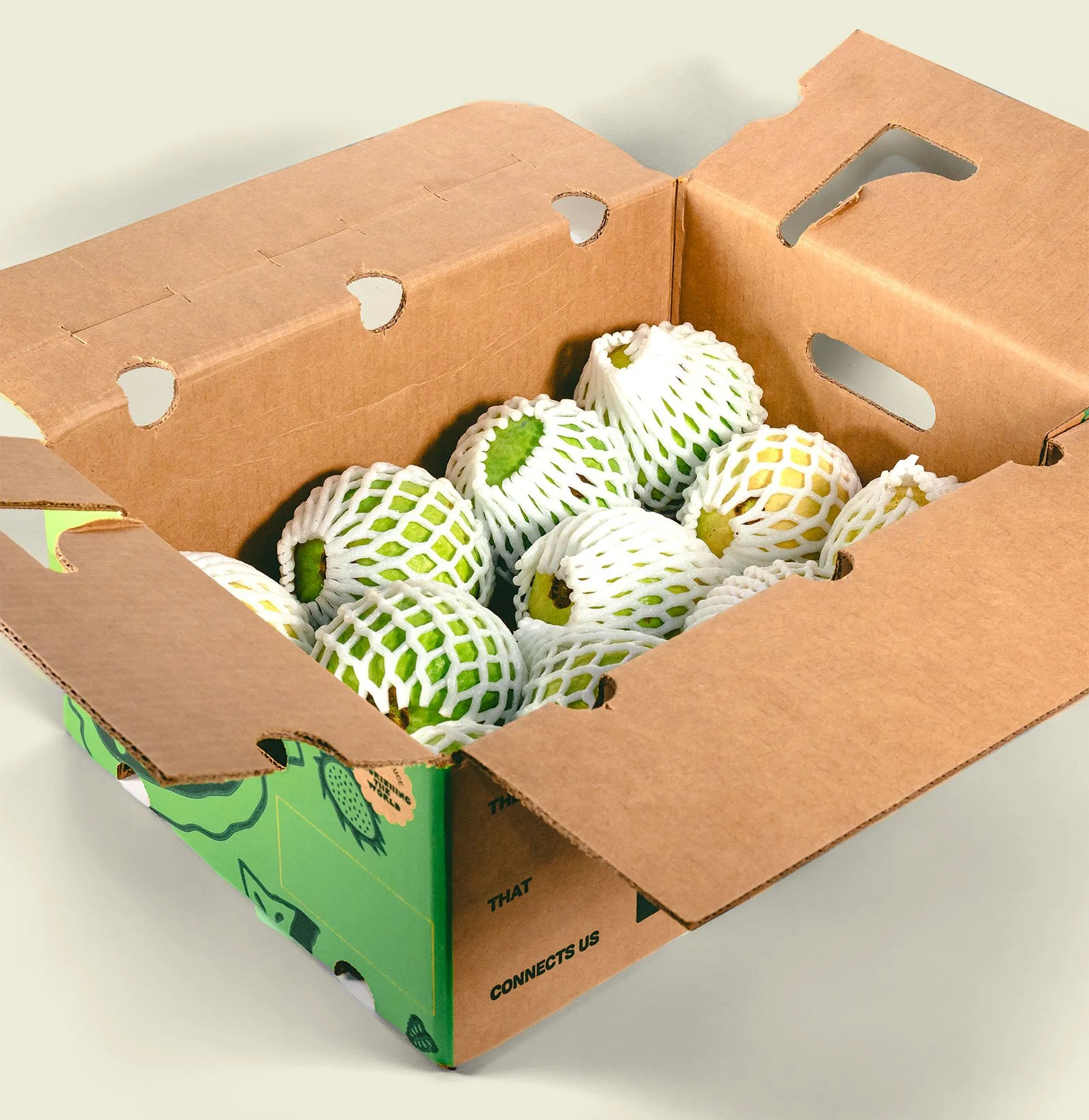Close-up of pink guava wholesale case, fresh pink flesh guava fruit supplier, Ecoripe Tropicals