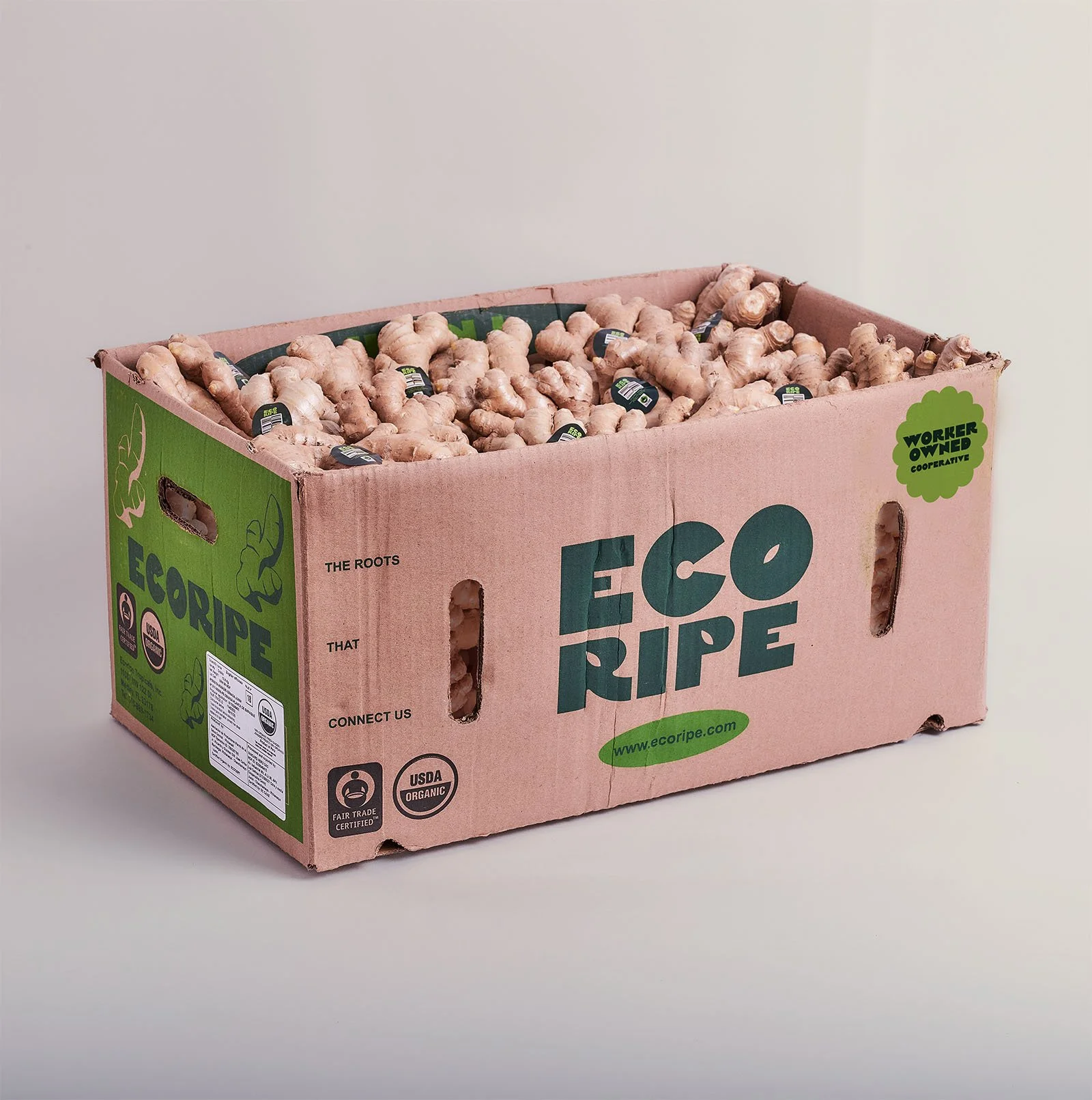 Loose organic ginger root in wholesale case, fresh tropical produce by Ecoripe Tropicals