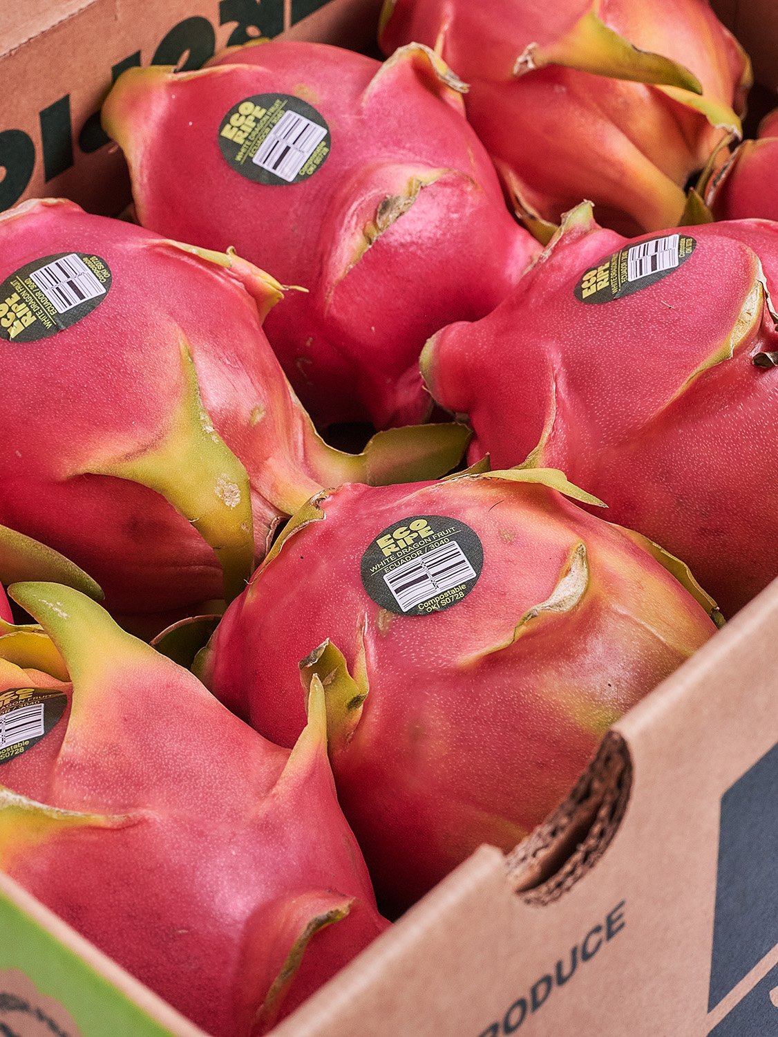 WHITE_DRAGON_FRUIT_PRODUCE_MIAMI.jpg