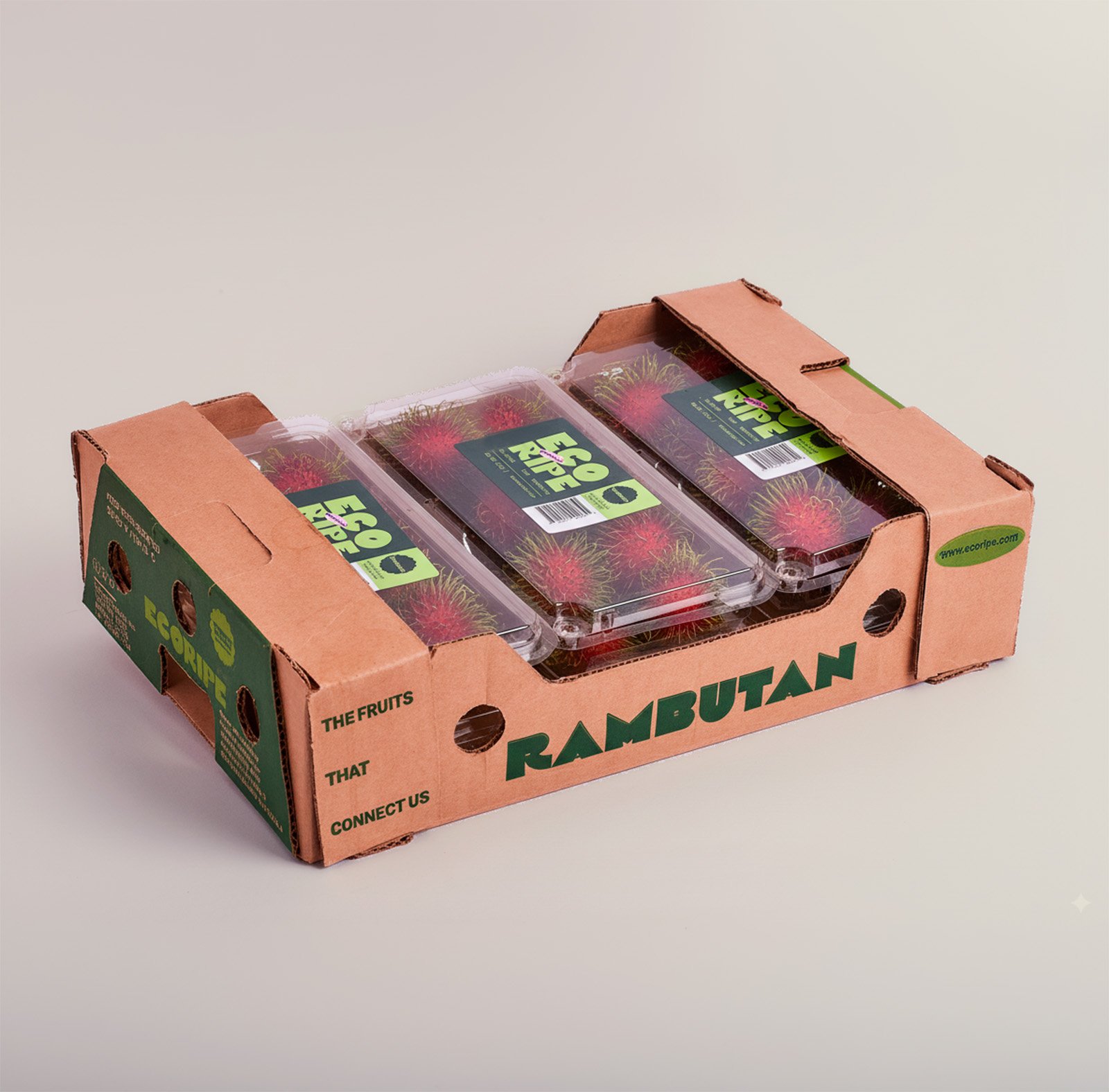 RAMBUTAN_BOX_B.jpg