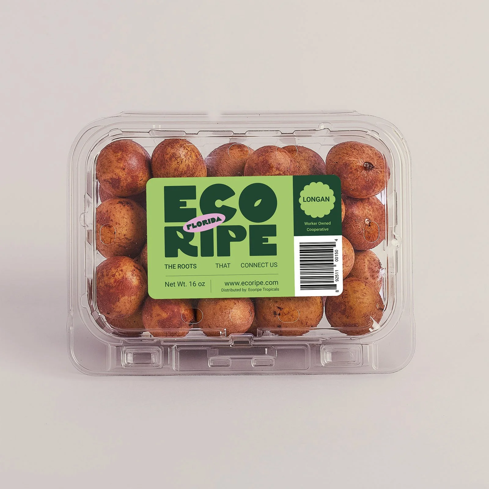 Clamshell of fresh longan showing clustered fruit, sourced by Ecoripe Tropicals for wholesale distribution