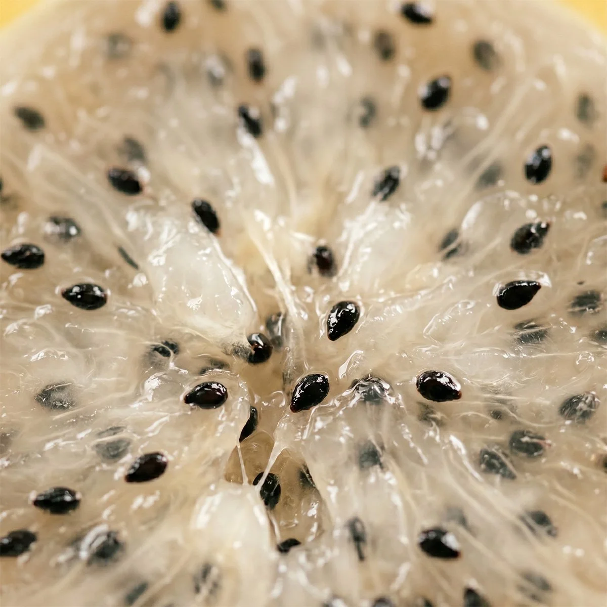 PITAHAYA_HEALTH_BENEFITS.jpg