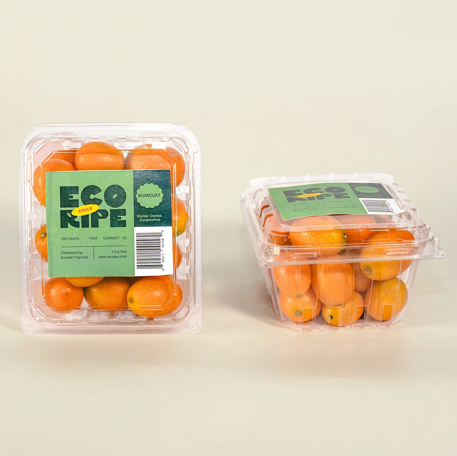 Kumquat duo in clamshell packaging, fresh citrus fruit retail ready, wholesale supplier Ecoripe Tropicals