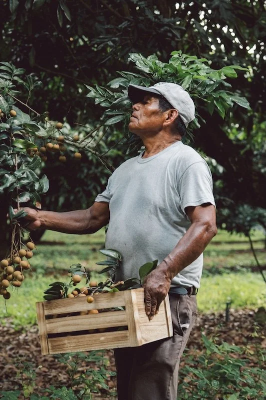 Food with purpose and ethically sourced in north america