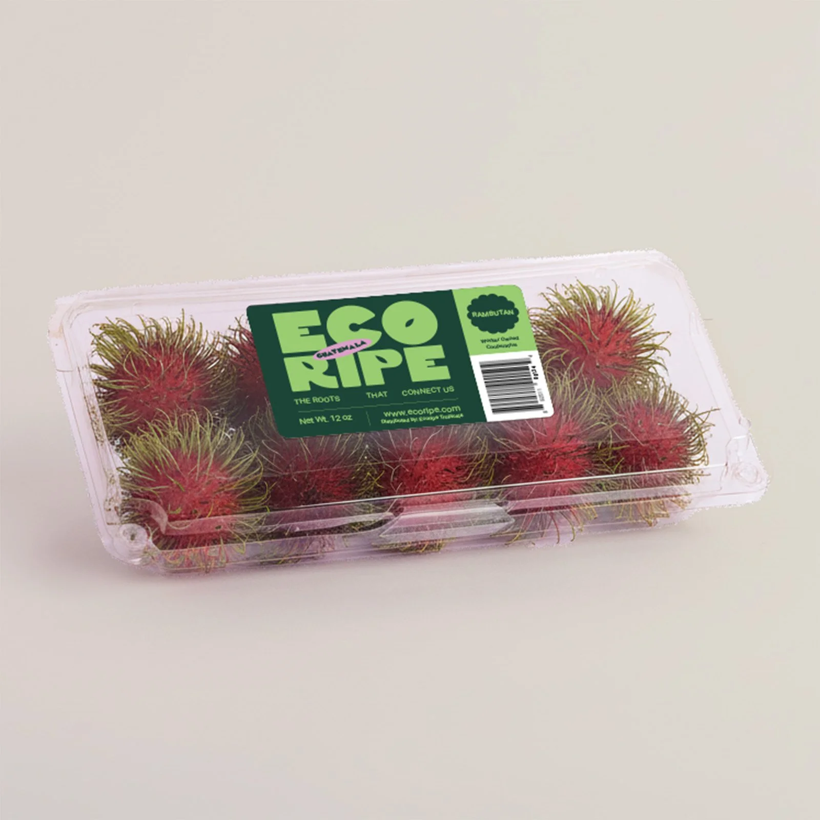 RAMBUTAN_CLAM_B.jpg
