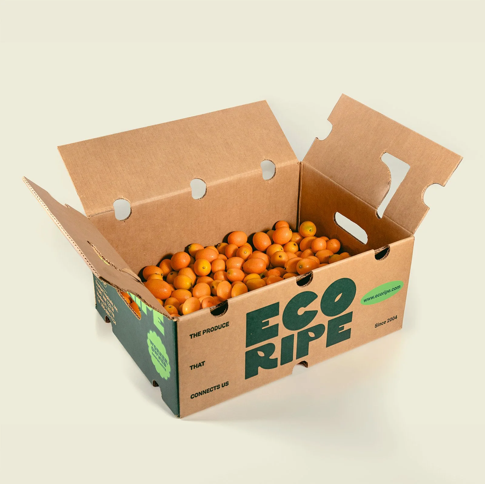 Bulk case of kumquats, wholesale citrus fruit supplier for retailers, Ecoripe Tropicals tropical produce