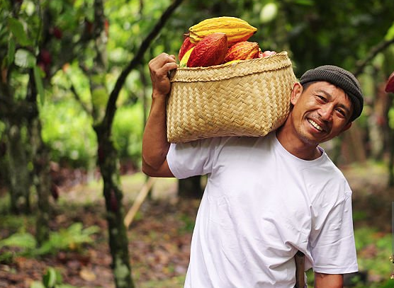 Fairtrade produce in north america
