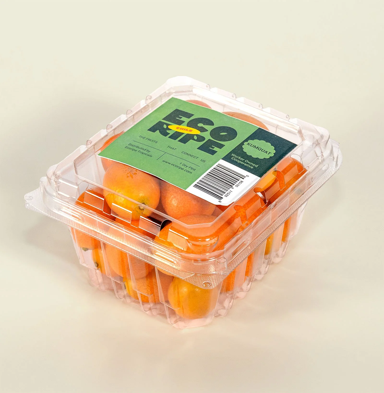 Single kumquat in clamshell packaging, fresh golden citrus fruit, wholesale supplier Ecoripe Tropicals