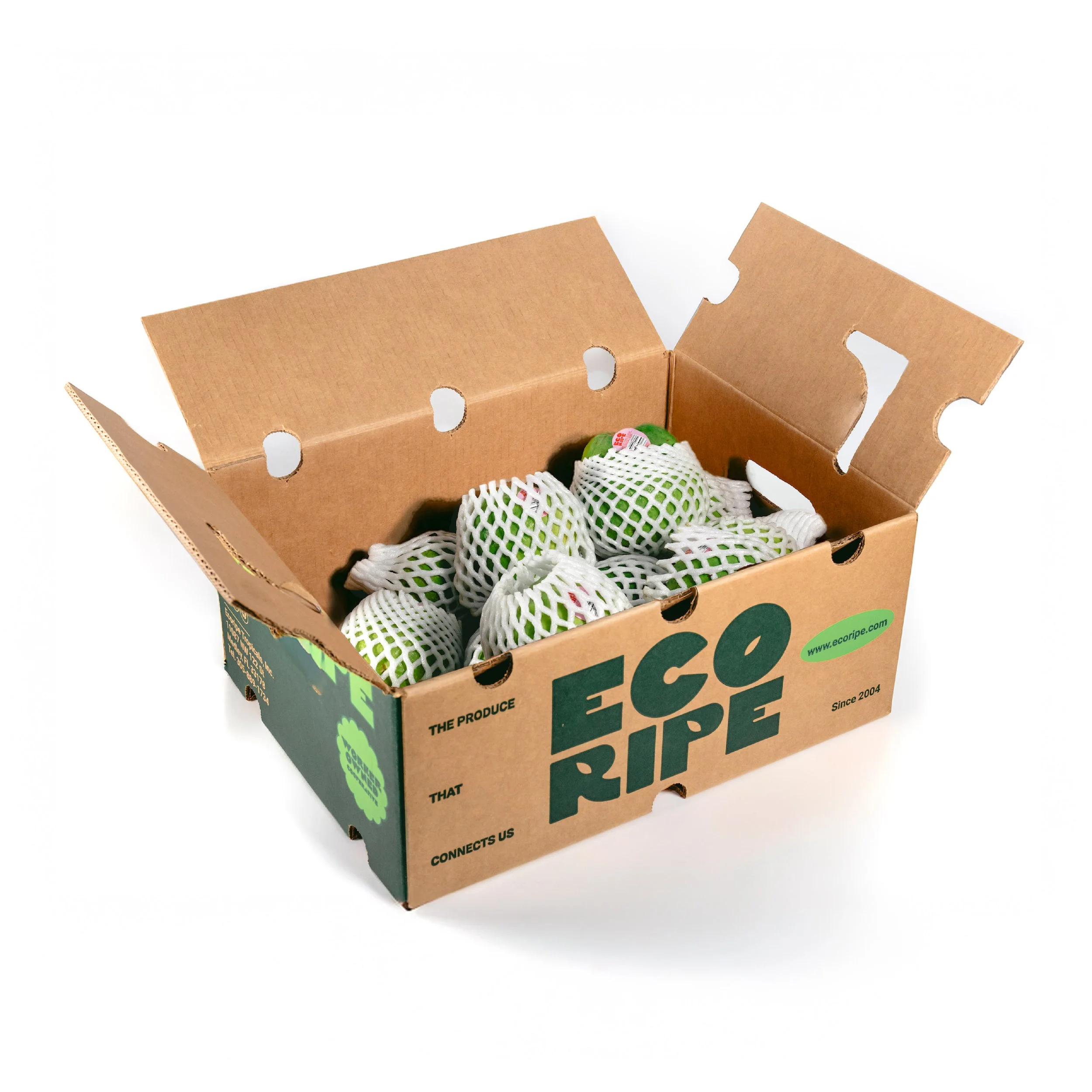 GUAVA BOX.jpg