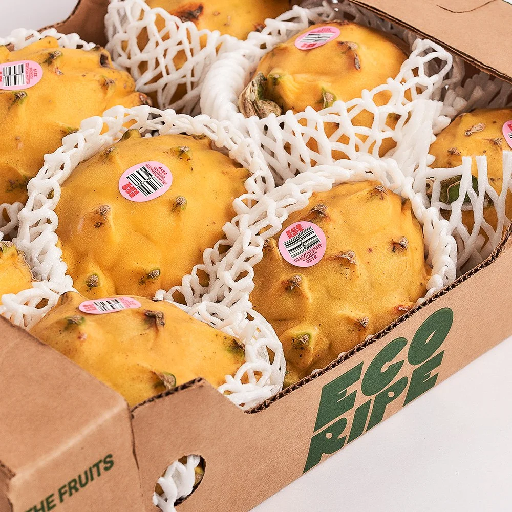 PITAHAYA_SUPPLIER_USA.jpg