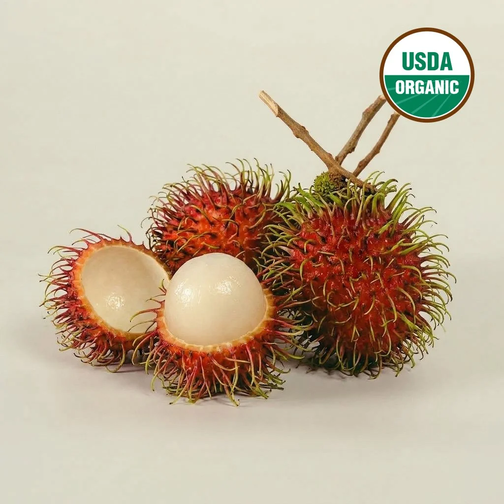 ORGANIC rambutan wholesale supplier in north america usa and canada ecoripe tropicals