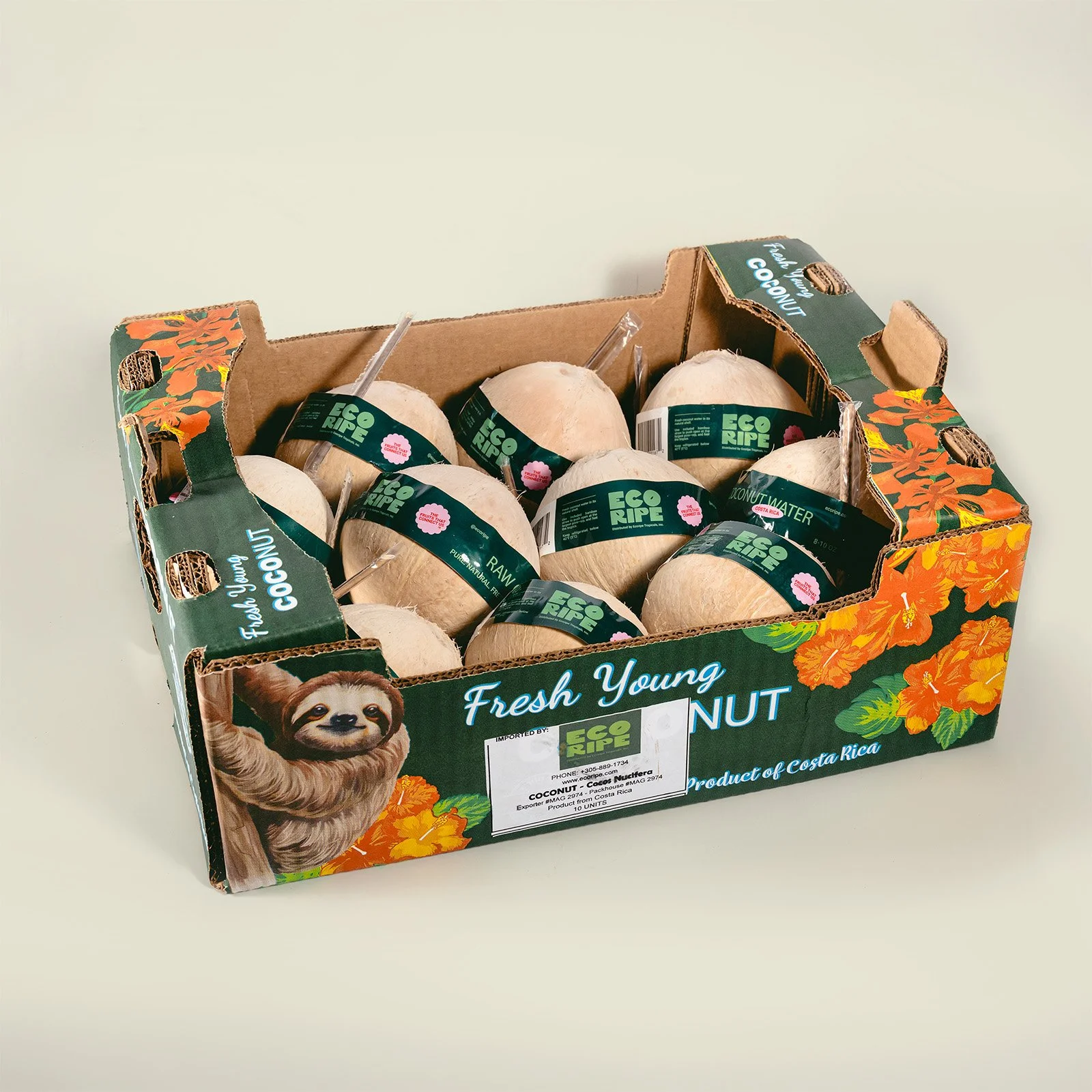 Case of ready to drink coconuts packed for wholesale shipment, sourced by Ecoripe Tropicals for retail distribution