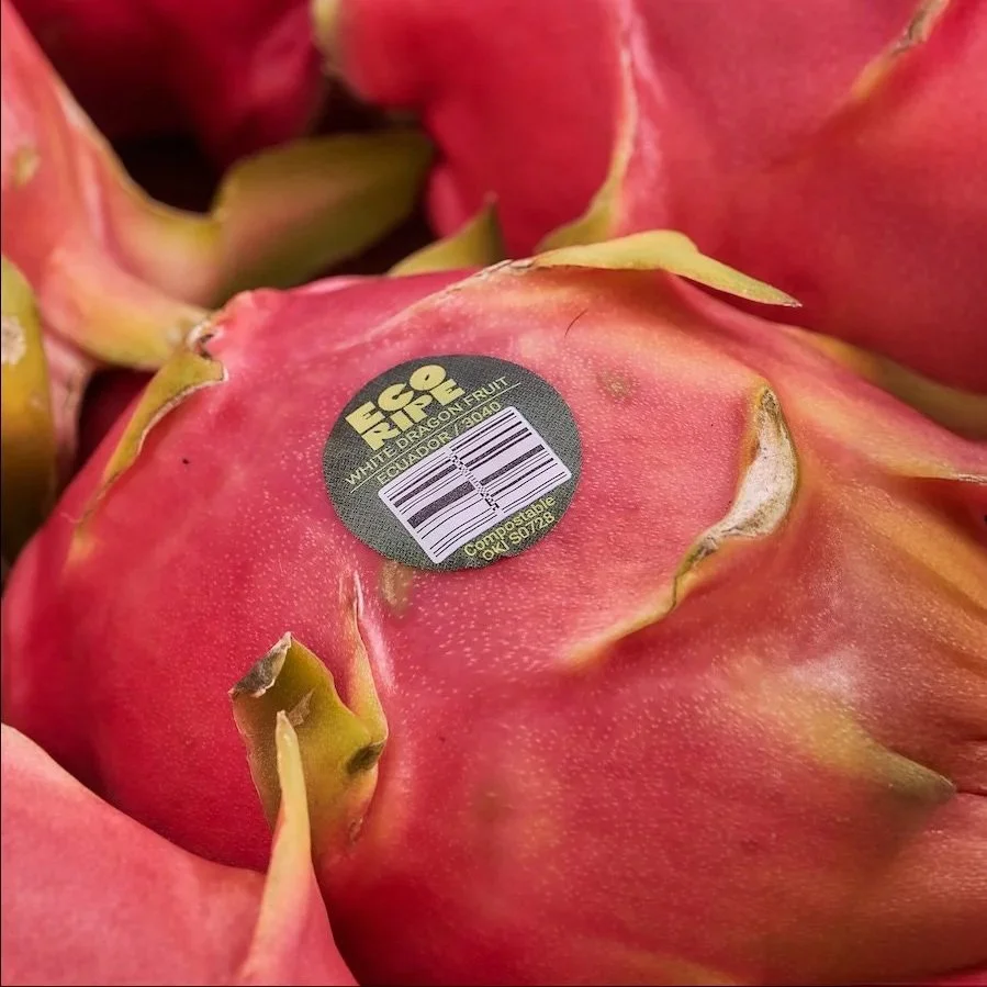 PINK_DRAGON_FRUIT_USA.jpg (copia)