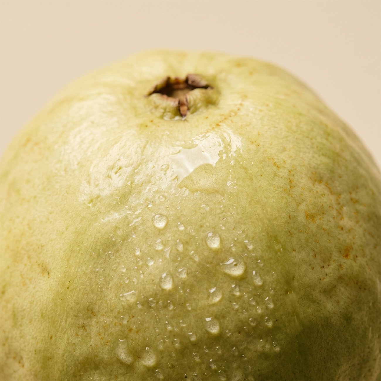 WHITE_GUAVA_UNITED_STATES.jpg