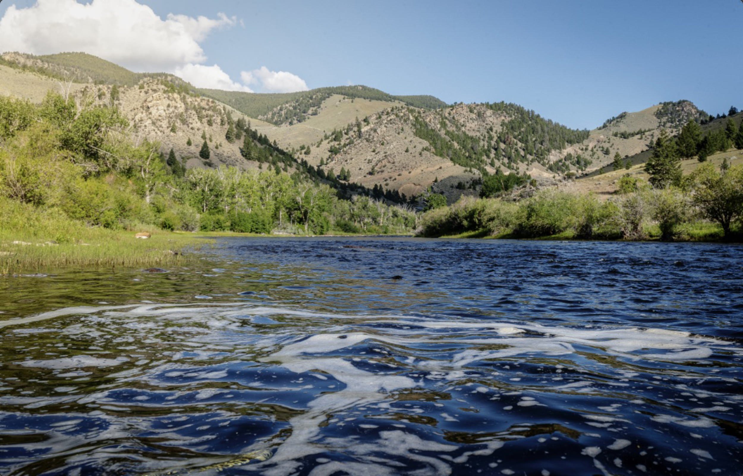 Spring trout fishing on the Jefferson River at Healing Waters Lodge with anglers casting early season