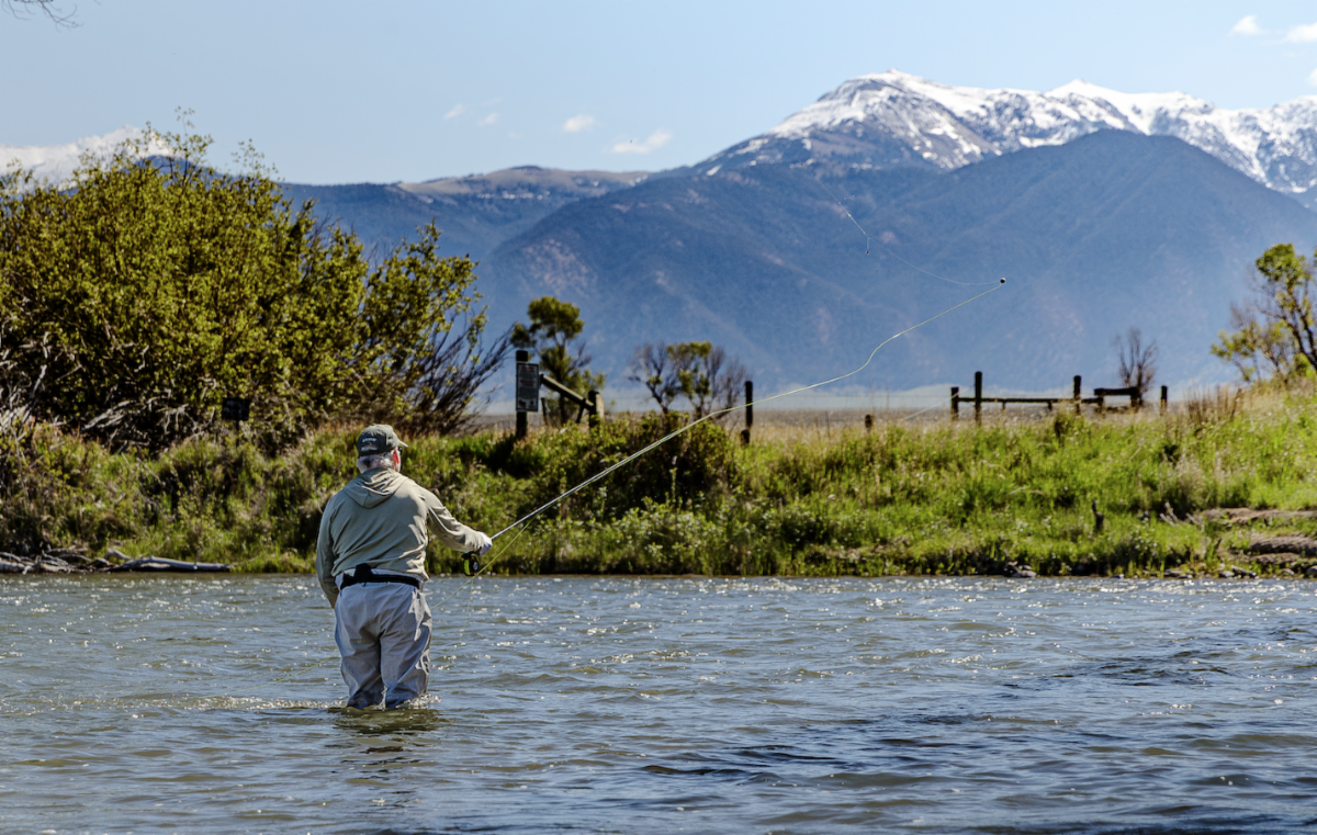 Fly angler wading the Madison River with snow-capped Montana mountains in the background